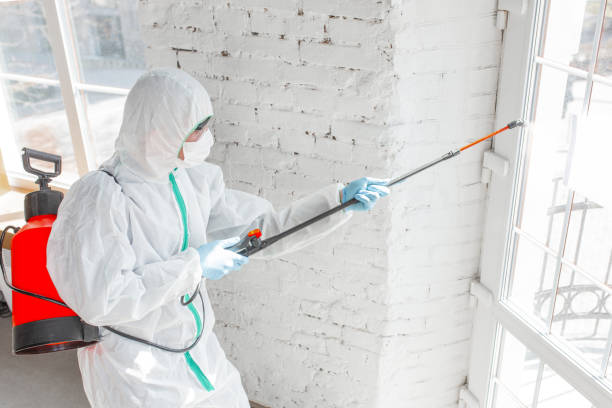 Best Mold Remediation for Healthcare Facilities  in Lebanon, OH